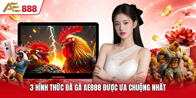 3 hình thức đá gà AE888 được ưa chuộng nhất